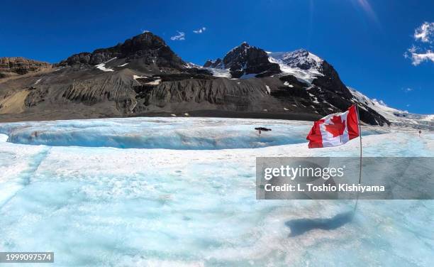 glacier at jasper national park - athabasca glacier summer stock pictures, royalty-free photos & images