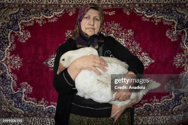 Years old Aygul Atmaca, living in Cakmak village of Kars, a goose breeder for 23 yearsposes for a photo with a goose in Kars, Turkiye on January 29,...