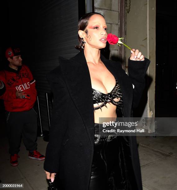 Dascha Polanco is seen in brookyn on February 09, 2024 in New York City.