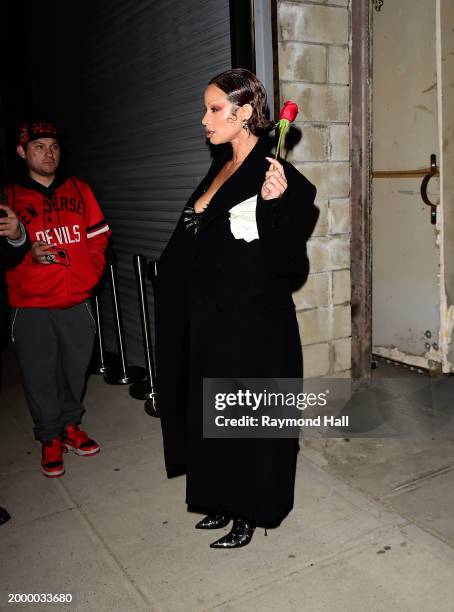 Dascha Polanco is seen in brookyn on February 09, 2024 in New York City.