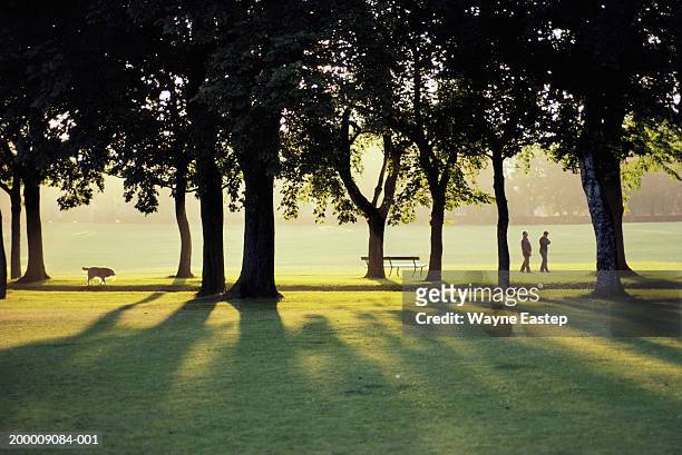 mature couple walking in park - edimburgo foto e immagini stock
