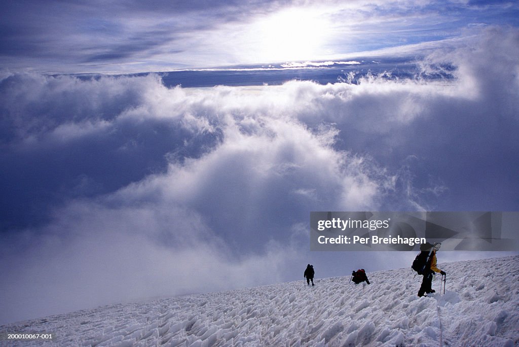 Hikers climbing down Mount Rainer