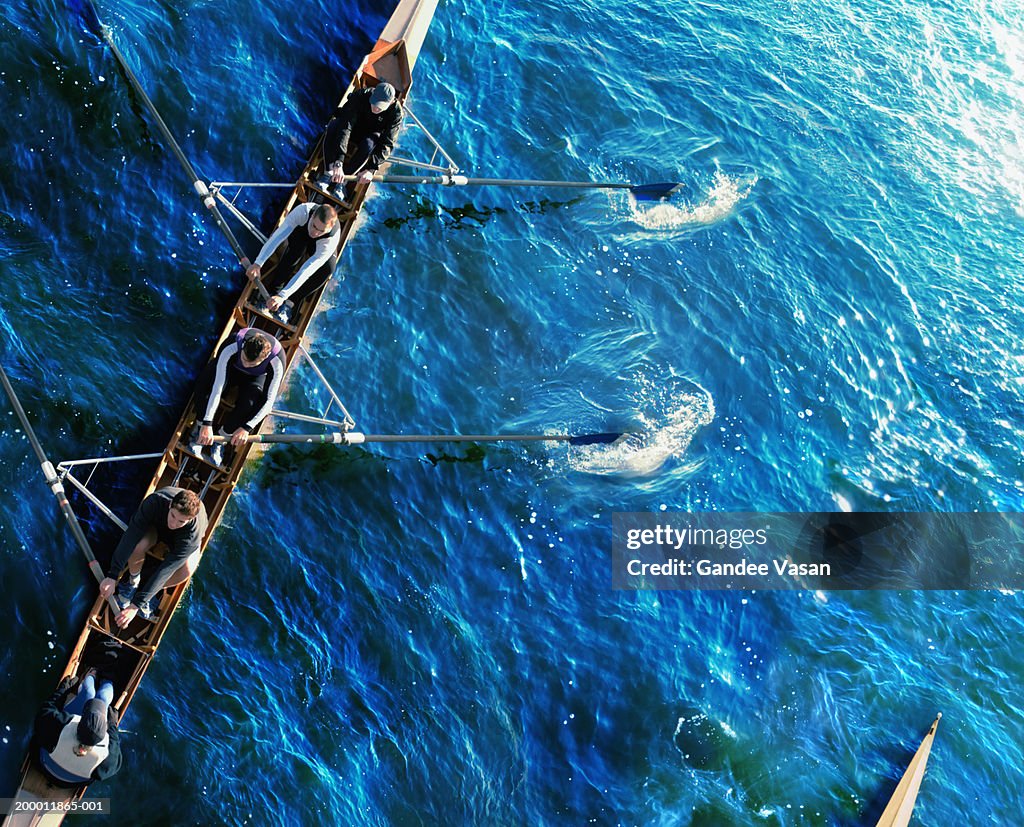 Sweep rowing crew, overhead view