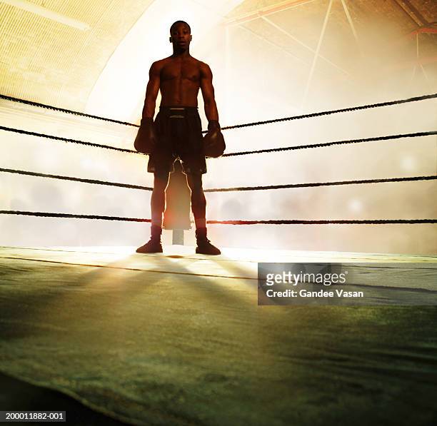 boxer standing in corner of ring, portrait - boxing ring stockfoto's en -beelden