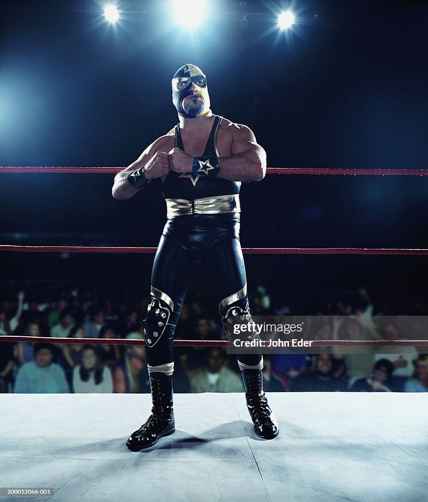 Pro wrestler wearing mask, standing in ring