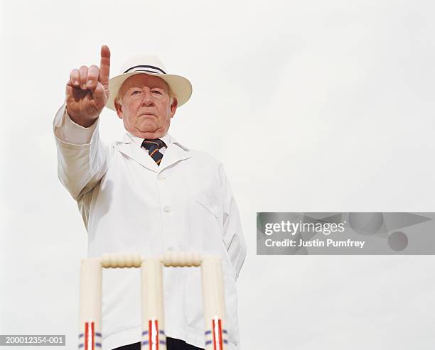 mature cricket umpire behind wicket, pointing - cricket umpire stock pictures, royalty-free photos & images