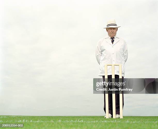 mature cricket umpire behind wicket, portrait - cricket umpire foto e immagini stock