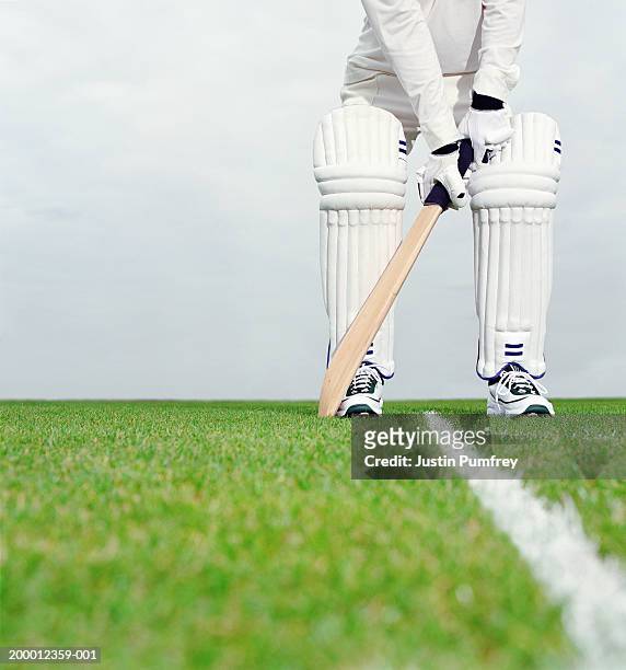 cricket batsman preparing to bat, low section - クリケット ストックフォトと画像
