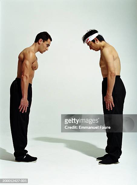 two martial arts athletes bowing, profile - fair stock-fotos und bilder