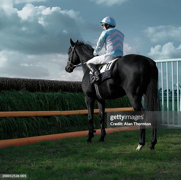 teenage jockey (15-17) on horse in front of jump - equestrian event stock pictures, royalty-free photos & images