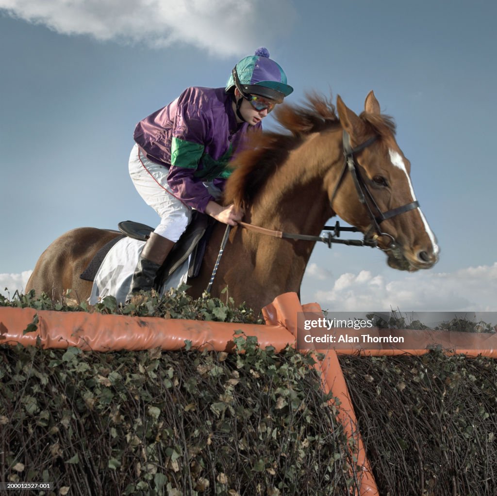 Jockey and horse at jump, close-up