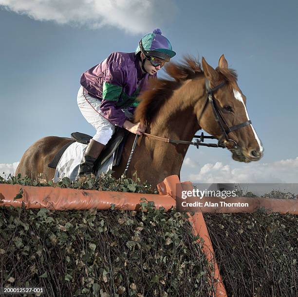 jockey and horse at jump, close-up - jockey racehorse stock pictures, royalty-free photos & images