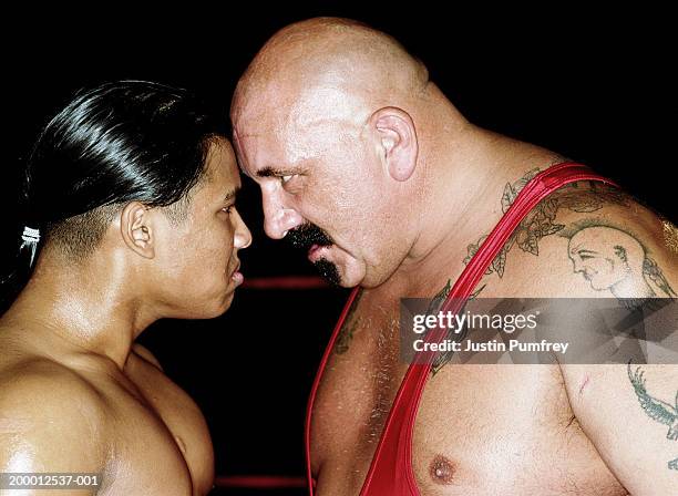 two male wrestlers head to head, close-up - staring stock pictures, royalty-free photos & images