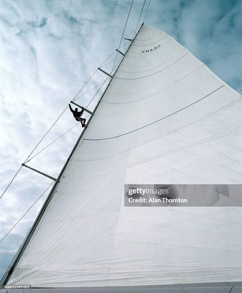 Man descending side of yacht's sail
