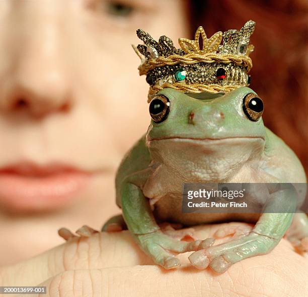 white's tree frog wearing crown, resting on woman's hand, close-up - märchen stock-fotos und bilder