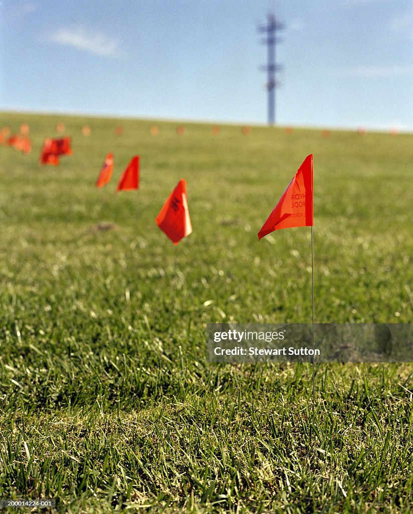 Orange survey flags in grass, close-up