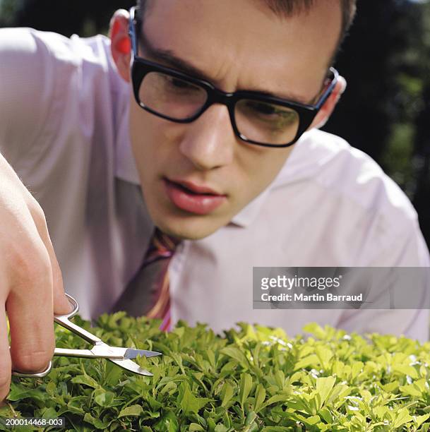 businessman trimming hedge with nail scissors, close-up - nail scissors stock pictures, royalty-free photos & images
