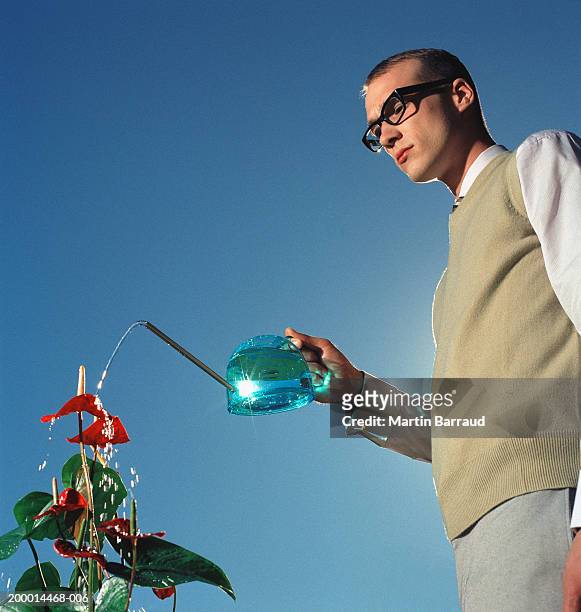 man watering athurium, low angle view - sleeveless sweater stock pictures, royalty-free photos & images