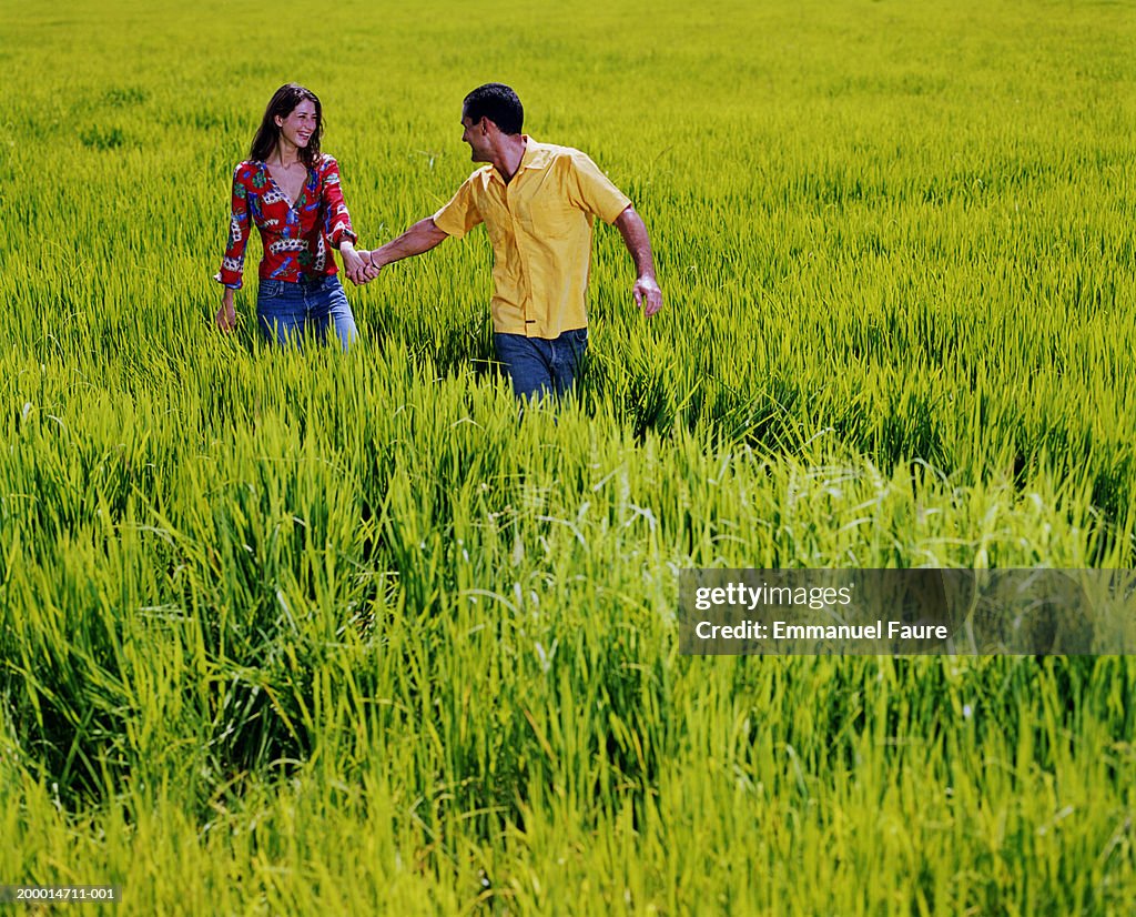 Couple walking through rice field