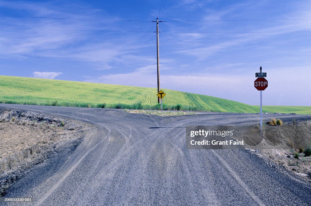 Fork in country road