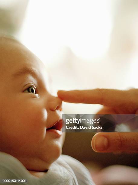 parent touching baby girl's (3-6 months) nose, close-up, profile - dito umano foto e immagini stock