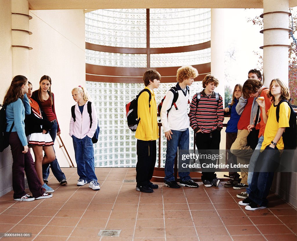 Teenagers (14-16) hanging out in school