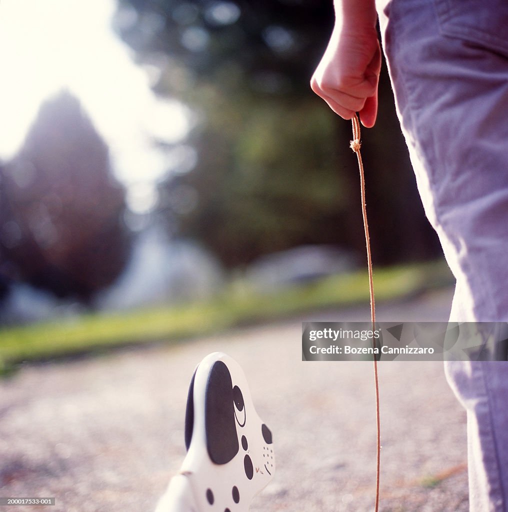 Girl (3-5) pulling wooden dog toy along path, close-up
