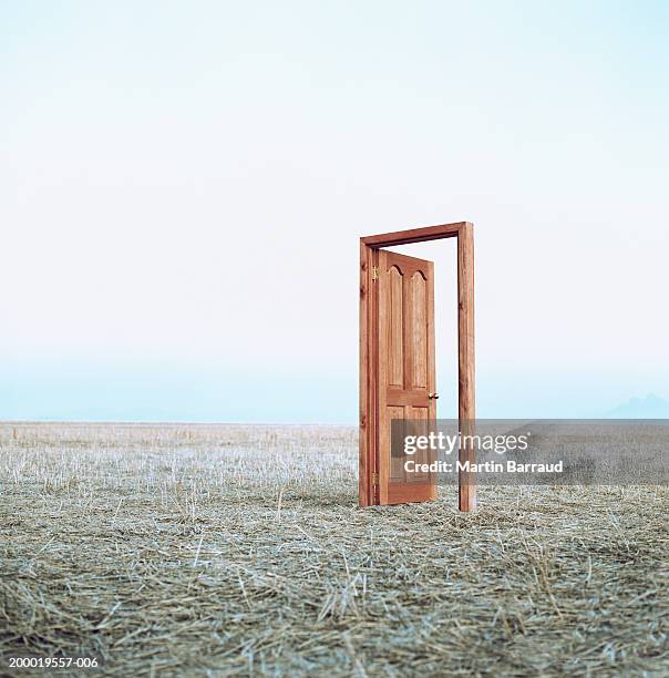 open door in field - doorway stockfoto's en -beelden