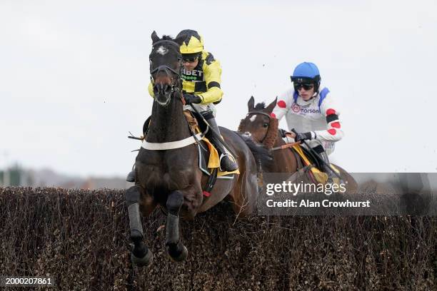 Nico de Boinville riding Shishkin clear the last to win The Betfair Denman Chase at Newbury Racecourse on February 10, 2024 in Newbury, England.