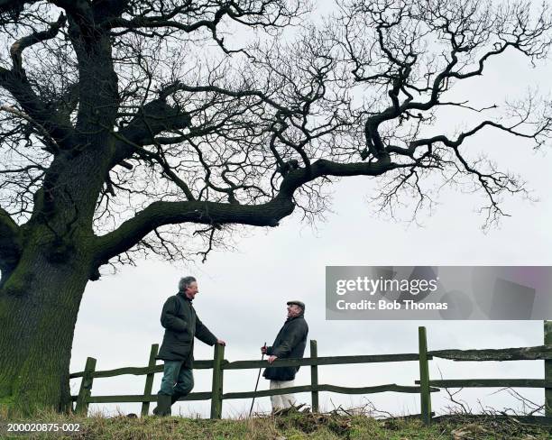Two mature men laughing over wooden fence beneath tree, Northampton, England
