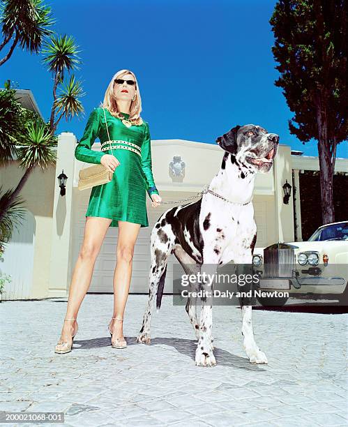 woman with great dane on drive, low angle view - green purse stockfoto's en -beelden