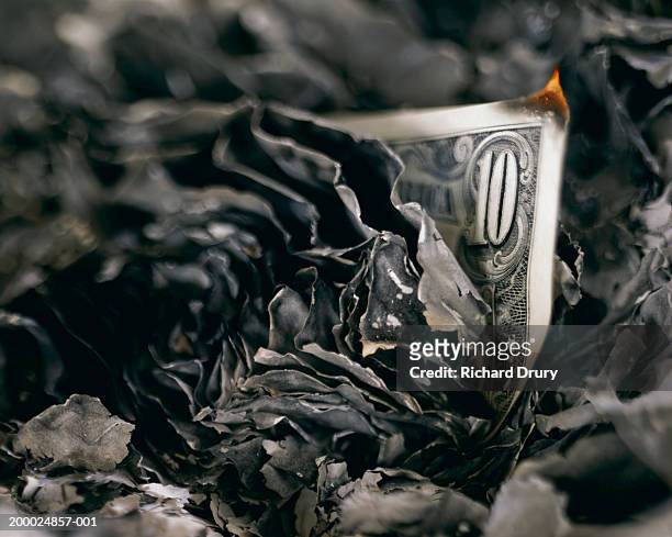 burnt wad of us 10 dollar bills, close-up - money to burn stock pictures, royalty-free photos & images