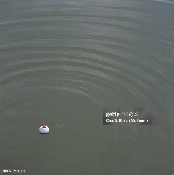 fishing bob in rippling water, elevated view - fishing float stock pictures, royalty-free photos & images