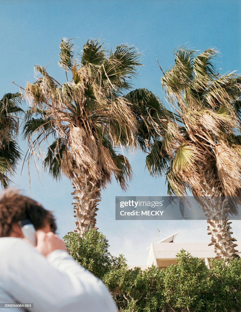 Man using mobile phone in palm lined street, low angle view