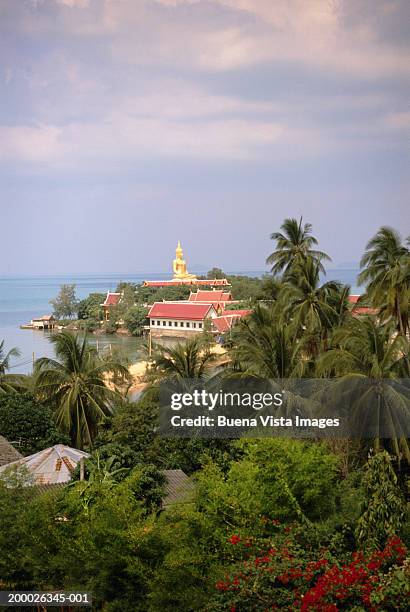 thailand, koh samui island, big buddha - großer buddha stock-fotos und bilder