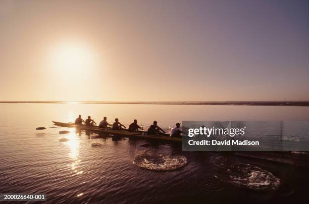 eight-man crew rowing at sunrise, elevated view - rowboat stock pictures, royalty-free photos & images