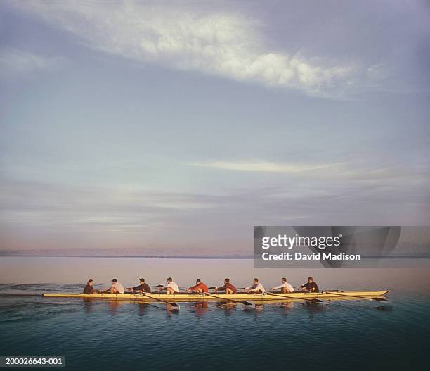 eight-man crew team rowing, side view (digital composite) - coxed rowing stock pictures, royalty-free photos & images