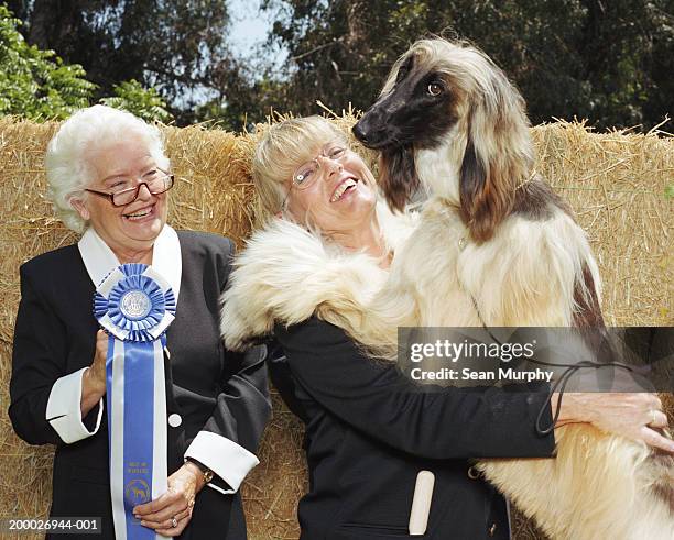 woman hugging afghan hound at dog show, female judge holding ribbon - dog competition stock pictures, royalty-free photos & images