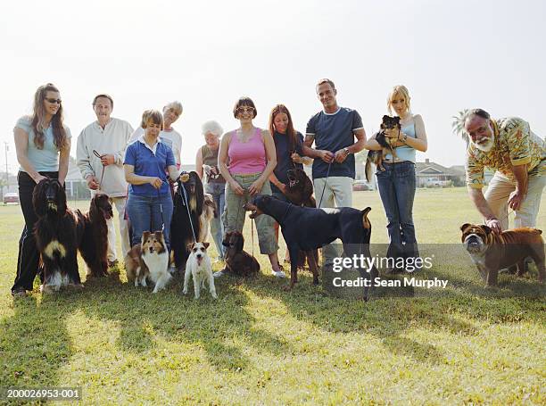 dogs with their owners in park - pure bred dog stock pictures, royalty-free photos & images