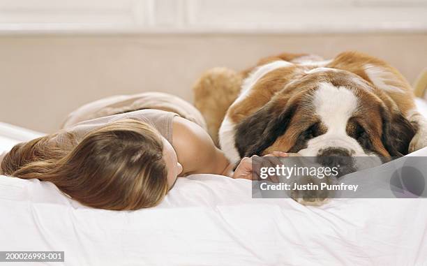 young woman lying on bed next to st. bernard dog, close-up - bernhardiner stock-fotos und bilder