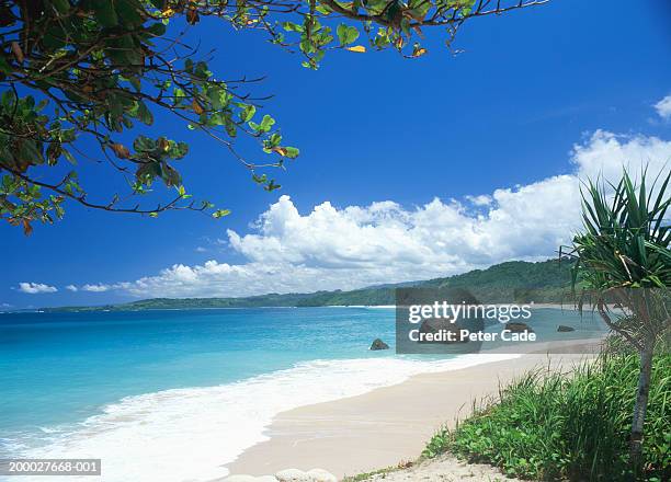 indonesia, sumba, tropical beach - sumba stock pictures, royalty-free photos & images