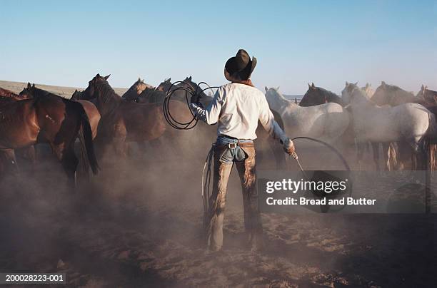 cowboy with whip in coral, rear view - chaps stock pictures, royalty-free photos & images