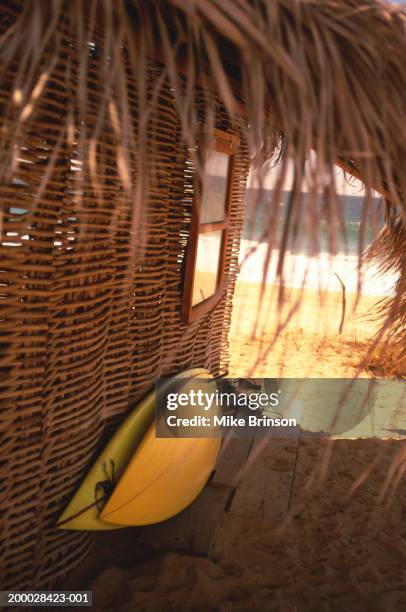 surfboards leaning against beach shack - beach hut stock pictures, royalty-free photos & images