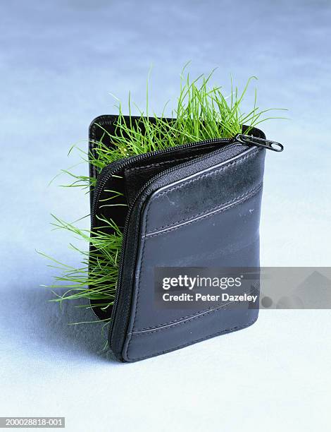 grass growing out  wallet - green economy stockfoto's en -beelden