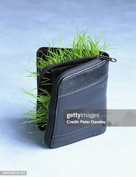 grass growing out  wallet - green economy stock pictures, royalty-free photos & images