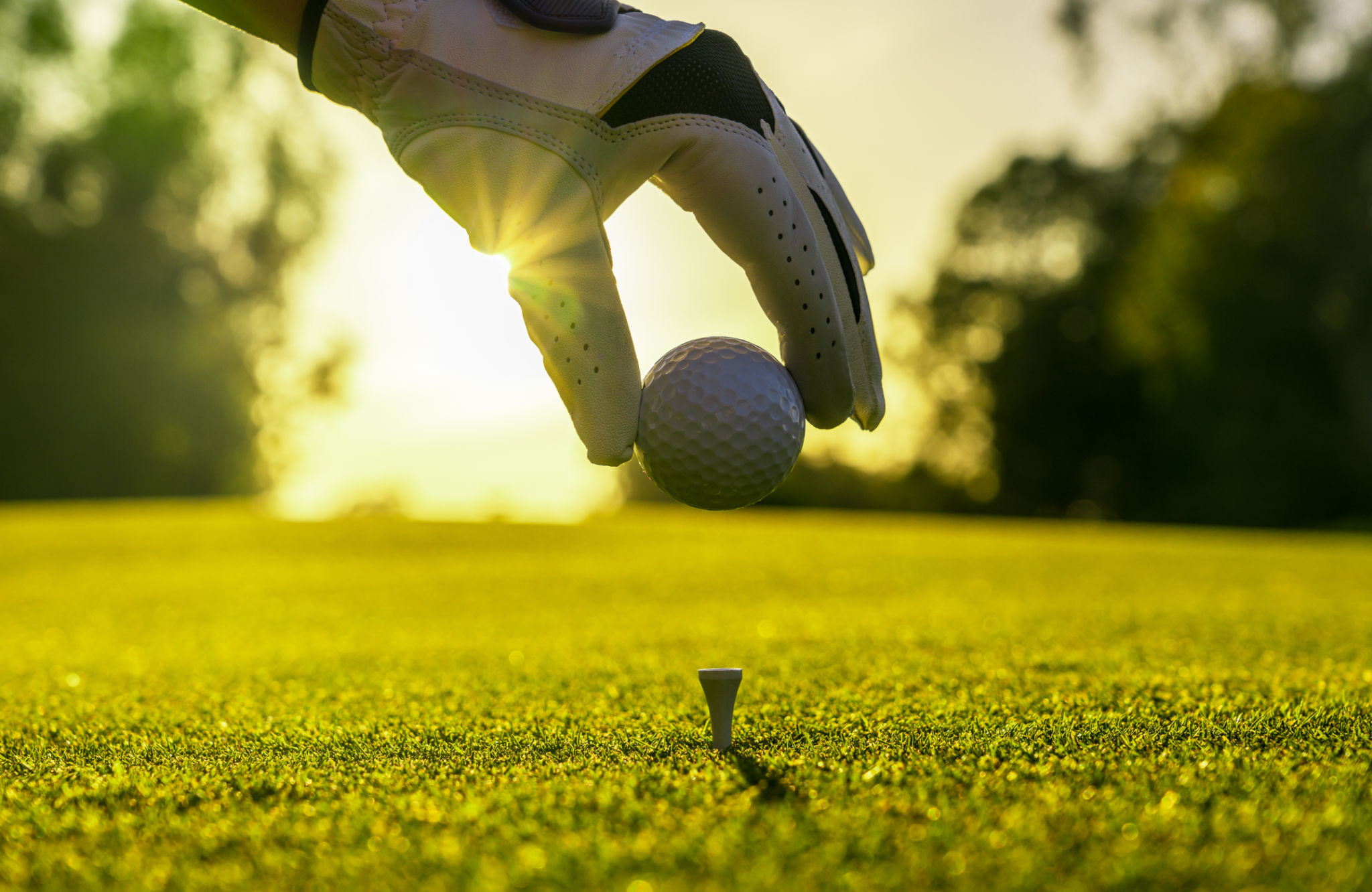 golf membership