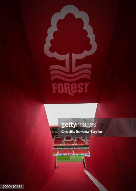 General view during the Premier League match between Nottingham Forest and Newcastle United at City Ground on February 10, 2024 in Nottingham,...