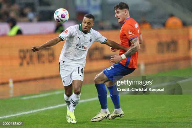 Matej Maglica of Darmstadt challenges Alassane Plea of Moenchengladbach of Moenchengladbach runs with the ball during the Bundesliga match between...