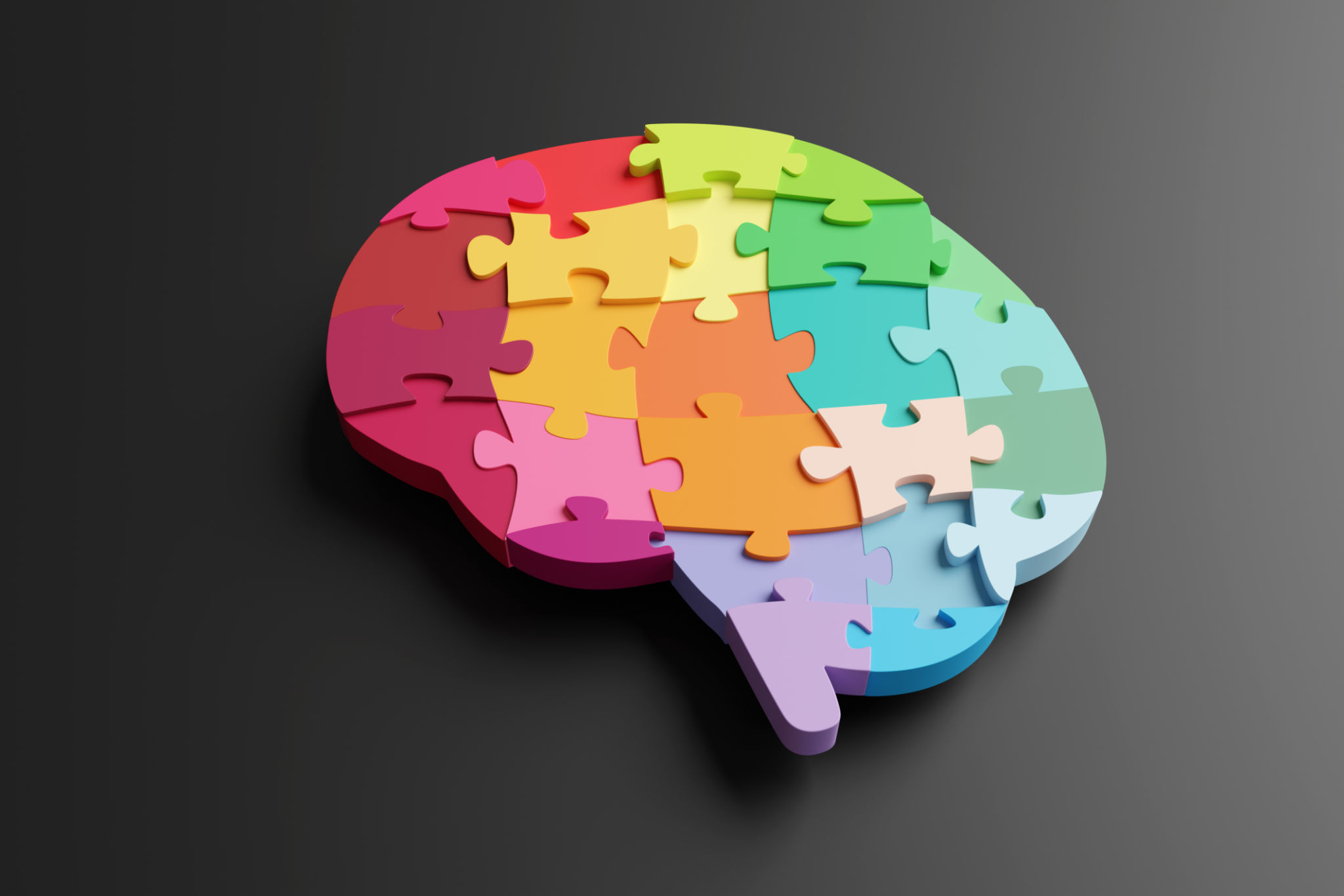 puzzle brain