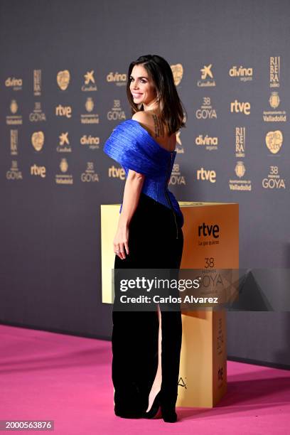 Elena Furiase attends the red carpet at the Goya Awards 2024 at Feria de Valladolid on February 10, 2024 in Valladolid, Spain.